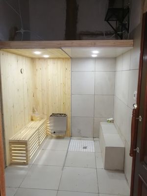 Sauna construction